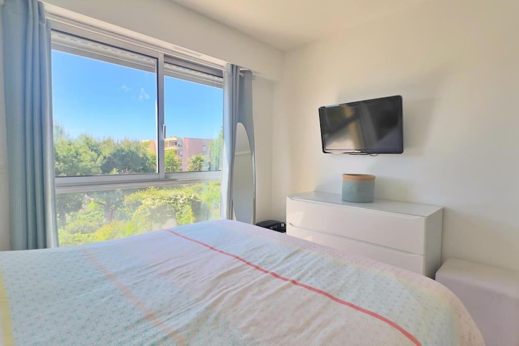 Apartamento The Flower Garden Niza